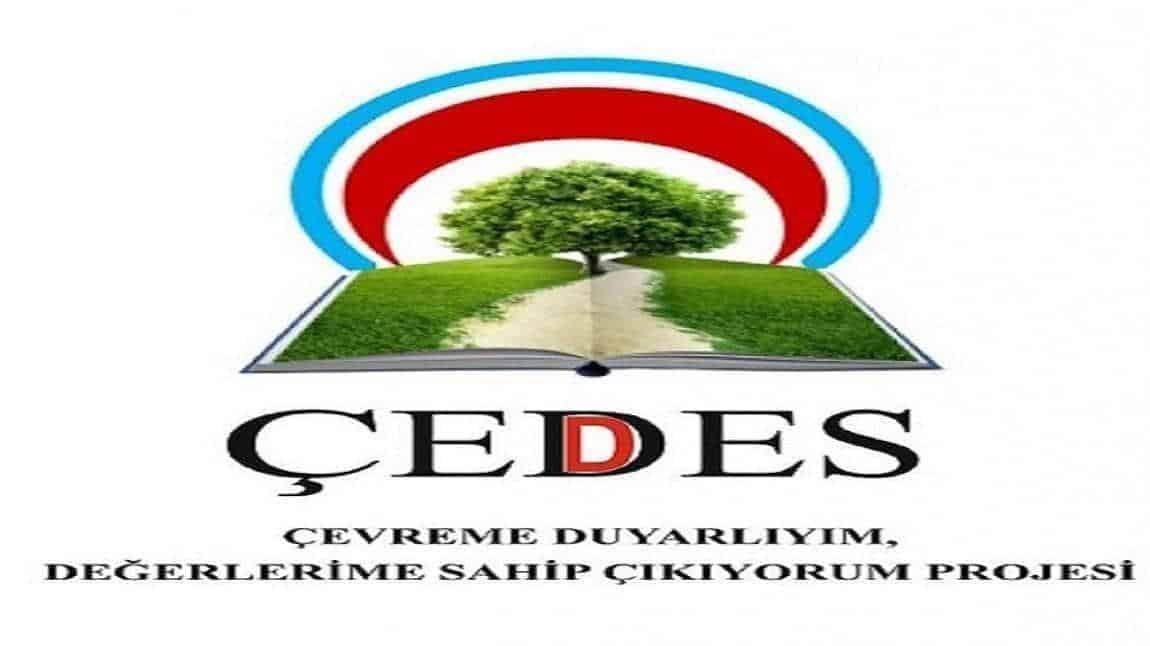 2024-2025  Eğitim Öğretim Yılı Çedes Proje İçerik ve Takvimi